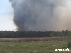 На севере Магнитки сгорело более 30 гектаров леса