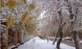 техинспекция