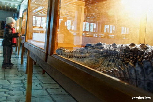 Дворец Ромазана захватили крокодил, кошки и рыбы