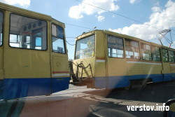 Необычные пассажиры проехались в магнитогорском трамвае