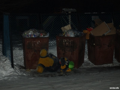 Мышку бросила хозяйка...