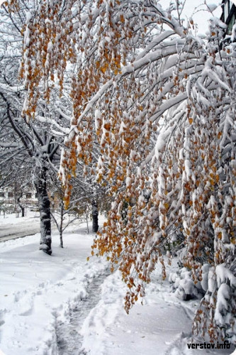 В Магнитогорске ожидают мокрый снег, метель, гололед...