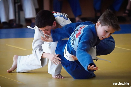 В Магнитогорске прошел турнир по дзюдо - Кубок «Белого тигра»