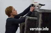 Девочка, кошка Изаура, мама и пельмени: в Магнитогорске открылась новая выставка