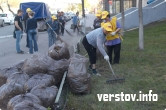 Перчаток на всех не хватило. «Справедливороссы» взялись за грабли