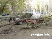 Падающие деревья. Непогода наносит ущерб автовладельцам и коммунальщикам