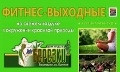 фитнес-выходные