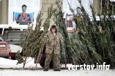 К таджикской ёлочке подставка в подарок! «Верстов.Инфо» приценился к главному атрибуту Нового года