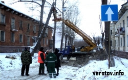 Плановое мероприятие. Жители благодарят озеленителей