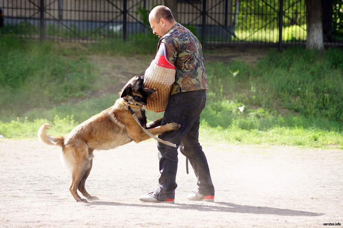 Смочь нападение