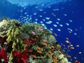 Роскошные отели и яркий подводный мир! PEGAS Touristik приглашает магнитогорцев в «залив шейхов»