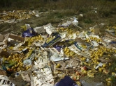 Жги! В Челябинской области за несколько дней уничтожили 7,5 тонн фруктов и молочной продукции