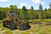 «Зеленые легкие» города растут! В Магнитогорске появится 200 новых хвойных деревьев