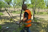 Сотрудники ДСУ работают круглосуточно! В парке Ветеранов вовсю вырубают сухие деревья