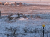 Может проще подвинуть трубу? «Газпром» потребовал снести дома десятков жителей Наровчатки