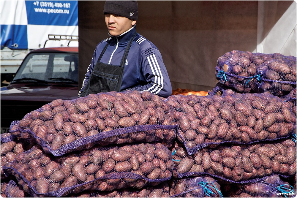 Продавец овощей. Продавец урожая. Рынок иллюстрация. Ярмарка урожая. Продавец урожая.