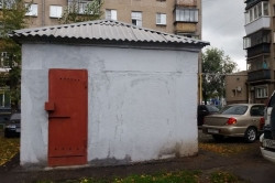 33 березы и 20 сосен! Жители нескольких домов по улице Грязнова сами занимались озеленением своего двора