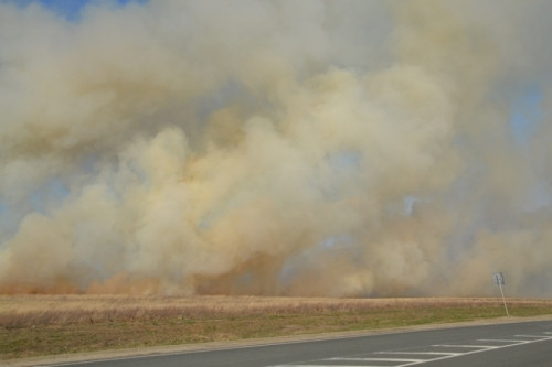 Даже авиацию задействовали. В районе трассы «Магнитогорск - Челябинск» продолжают тушить лесной пожар