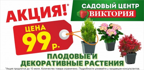 Растения по 99 рублей! Спешите на распродажу в «Виктории»!