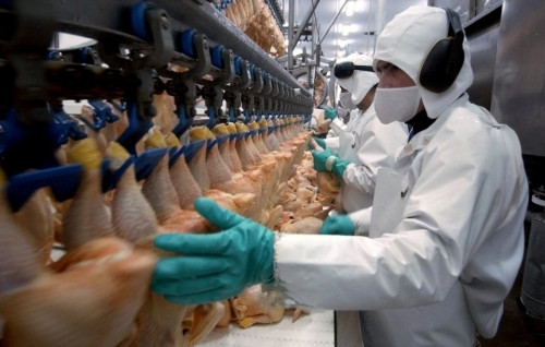 Чужие курицы границу не пройдут. Россия запретила транзит мяса птицы из США в Казахстан