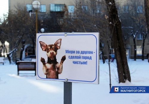 Убери за другом в парке. В парках Магнитогорска появились таблички с «собачьими» просьбами