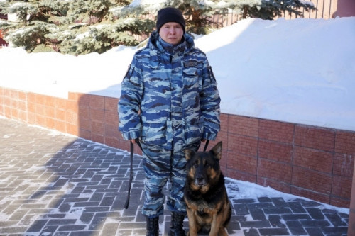 От собаки не спрячешься. В Магнитогорске полицейские раскрыли кражу в садовом домике