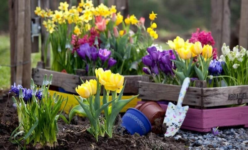 Когда приходит пора садовых участков... Цветочная ярмарка в помощь!