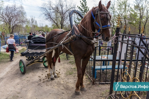 На городских кладбищах сегодня многолюдно. Магнитогорцы поминают усопших