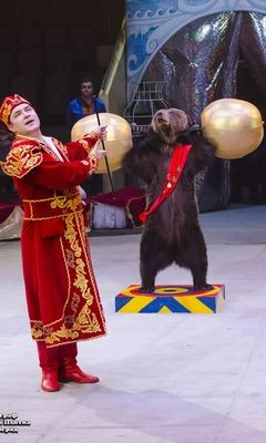 С 20 июля в Магнитогорском цирке! Невероятное супер-шоу в честь 100-летия Российского цирка и Дня города