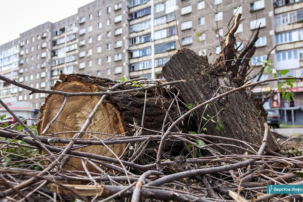 Срубленные деревья в симферополе. Вырубка деревьев в москве. Вырубленные деревья в городе. Рубка деревьев в саду. Вырубка деревьев в городе.