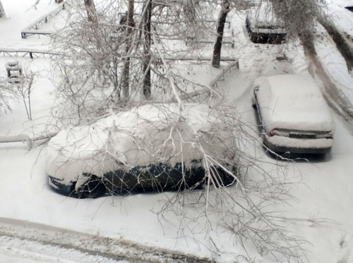 Деревья падают, трамваи сходят. Жители Магнитогорска делятся в соцсетях последствиями снегопада
