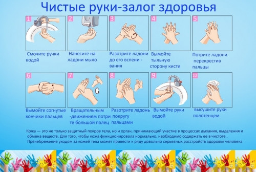 Мыть руки надо правильно! В Детской больнице рассказали об одной из главных мер профилактики опасных инфекций