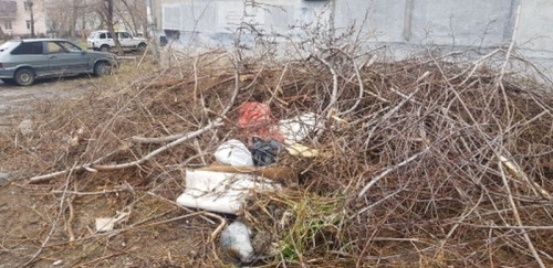 Не бросайте мусор на головы уборщиков! В Магнитогорске продолжаются весенние субботники