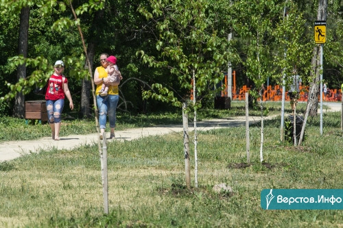 За ними будут постоянно ухаживать. В Магнитогорске осенью планируют посадить 350 деревьев и 7 тысяч кустарников