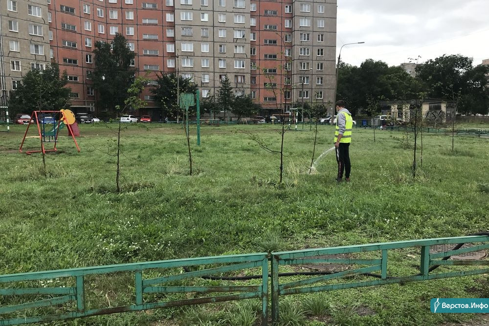 Магнитогорск дворы. Картинки аварийные зеленые насаждения.