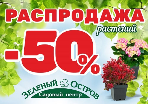 Распродажа растений для вашего сада! Скидка – 50 % в садовом центре «Зелёный остров»