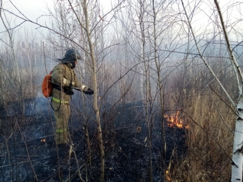 На юге Челябинской области тушат крупный природный пожар. Огнём охвачено 980 гектаров