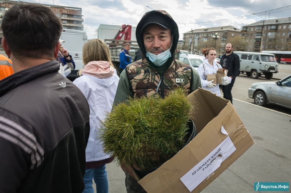 Новости верстов магнитогорск последние в магнитогорске сегодня. Раздача сеянцев Магнитогорск.