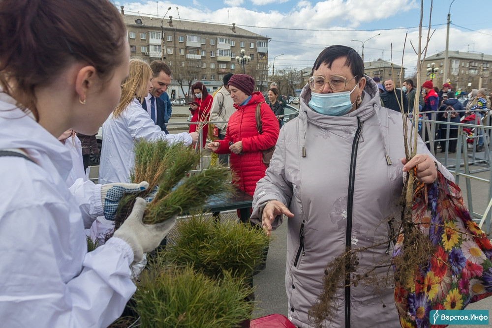 Новости верстов магнитогорск последние в магнитогорске сегодня. Раздача сеянцев Магнитогорск.