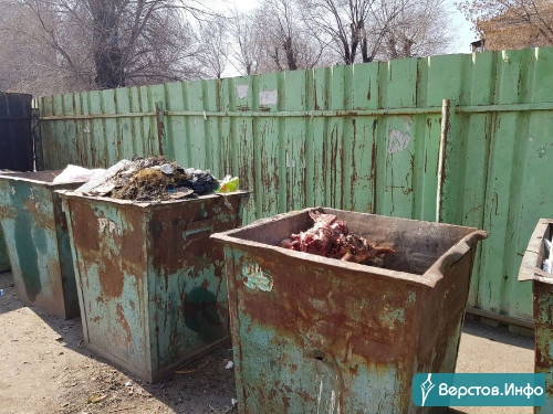 Рога и копыта вместо мусора. Площадка по сбору ТКО на улице Народной стала свалкой «расчленёнки»