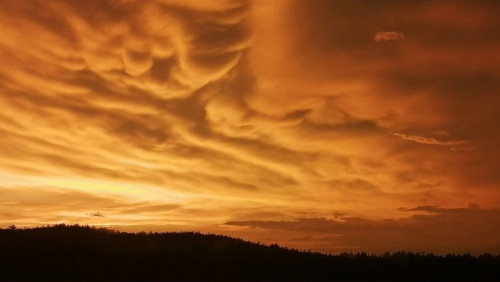 Из-за них образовываются шаровые молнии. Жителей Южного Урала поразили редчайшие «вымеобразные» облака