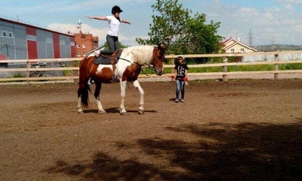 Конный клуб "Кентавр" объявляет набор детей на новый учебный год Верстов.Инфо