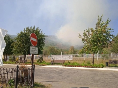 Очаг не локализован. В Магнитогорске объявили сбор волонтёров для тушения лесного пожара на Банном