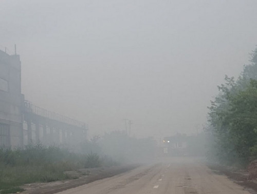 У детей приступы ларингита. В Магнитогорске оштрафованный на полмиллиона рублей завод вновь отравляет воздух?