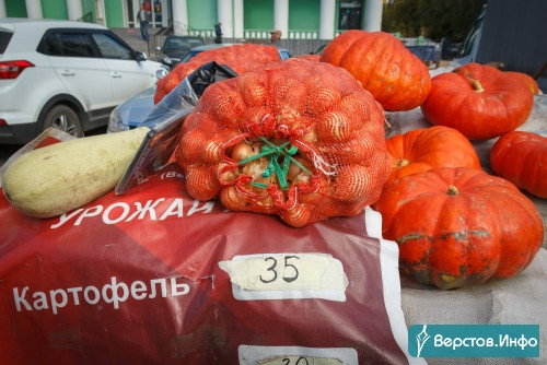 Картофель и морковь по 35, свёкла по 30! Магнитогорцев возмутили цены на традиционной сельхозярмарке