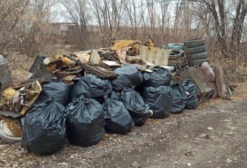 Придётся вернуться. Экологические активисты Магнитки провели уборку в посёлке Новотуково