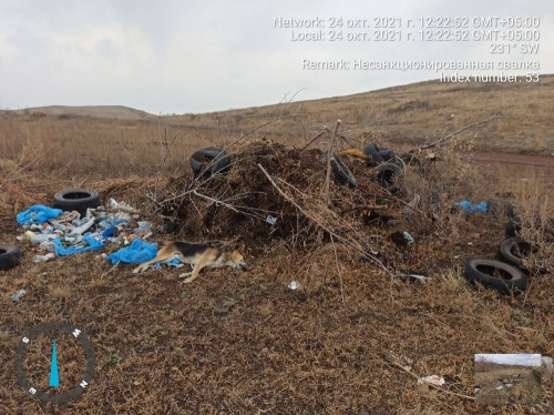 Пришлось порыться в мусоре. Экоактивисты отыскали хозяина сброшенных отходов у посёлка Димитрова