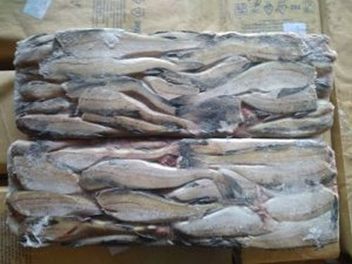 В Магнитогорске приостановили продажу 48 тонн минтая. Рыбу везли с нарушением температурного режима