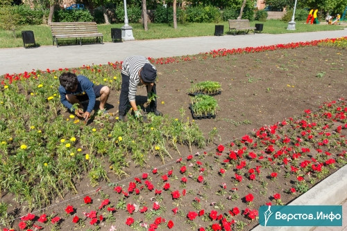 Украсят парки. В Магнитогорске приступили к посадке цветов в общественных пространствах