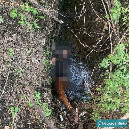 Лежал на дне оврага. В реке Башик у посёлка Димитрова обнаружили труп мужчины